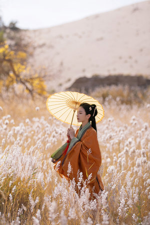 魔女的逆袭