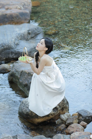 状王宋世杰