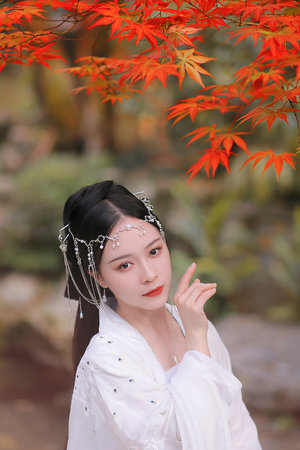 如果岁月可回头电视剧全集免费观看