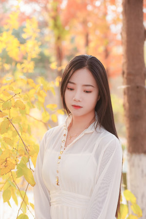 桃子视频在线免费观看