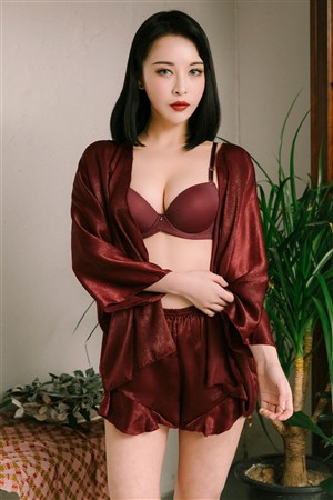 借枪全集下载