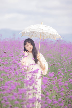 456影视在线免费观看